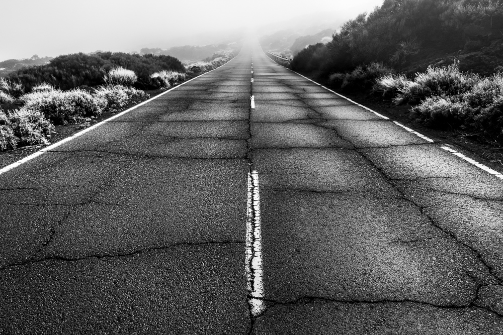 Platz 11 Daniel Kreher